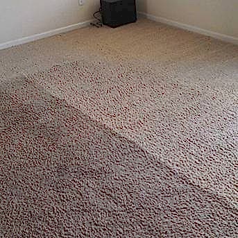 Чистка коврового покрытия в офисе