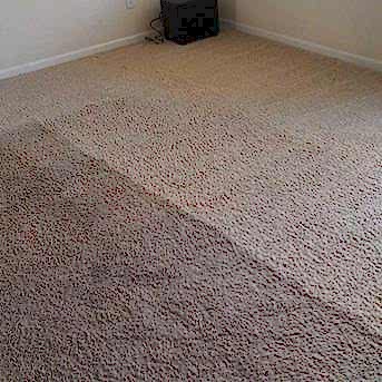 Чистка коврового покрытия в офисе