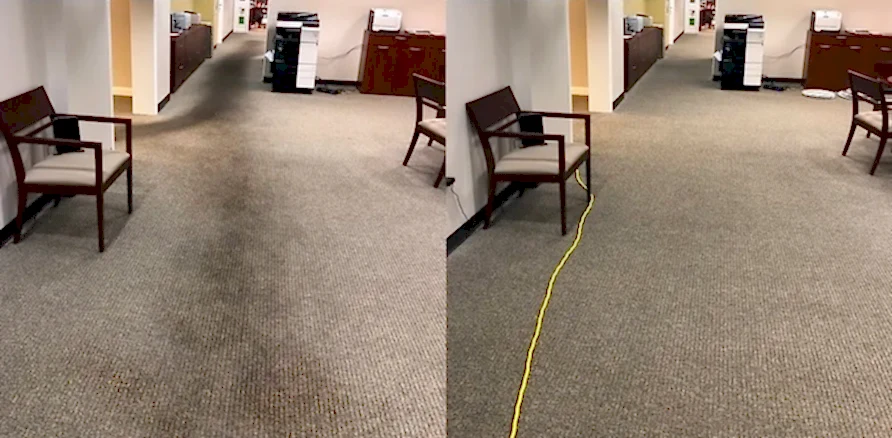 Чистка коврового покрытия в офисе Чистка коврового покрытия в офисе