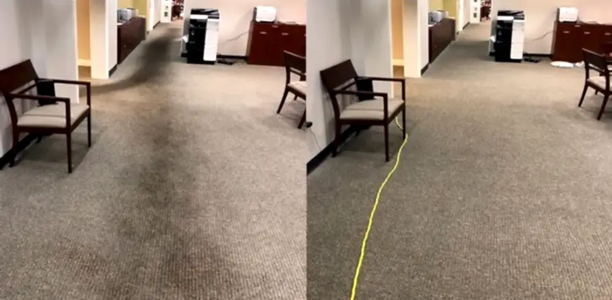 Чистка коврового покрытия в офисе