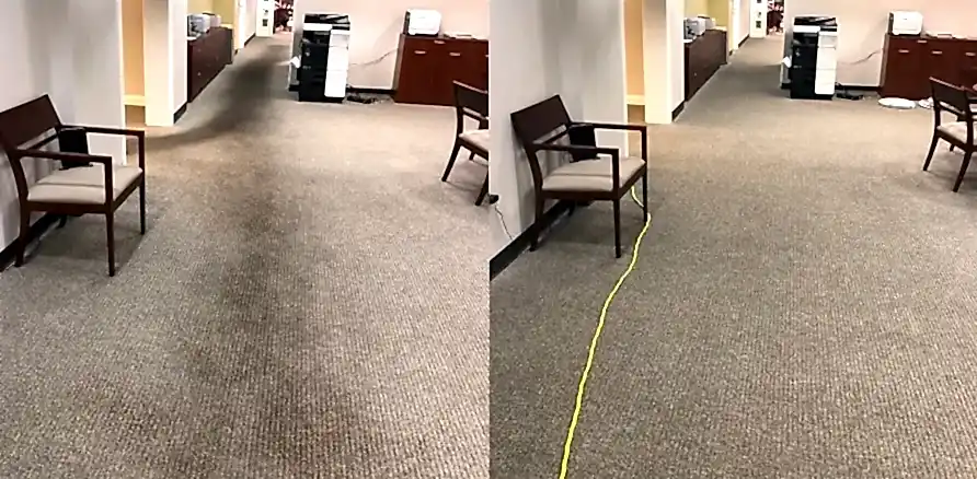 Чистка коврового покрытия в офисе