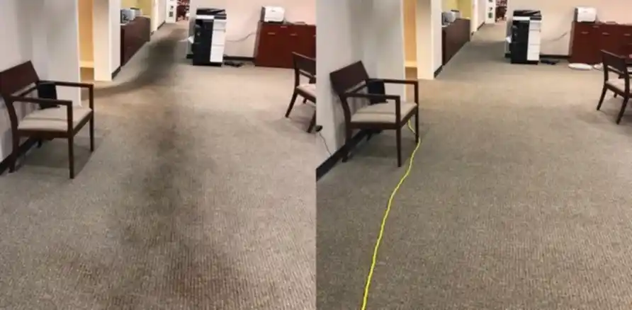 Чистка коврового покрытия в офисе