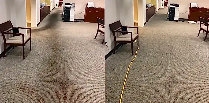 Чистка коврового покрытия в офисе