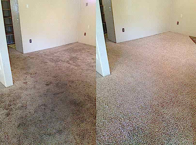 Химчистка ковролина в офисе