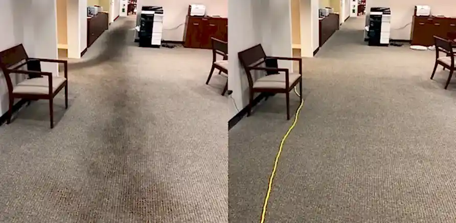 Чистка коврового покрытия в офисе