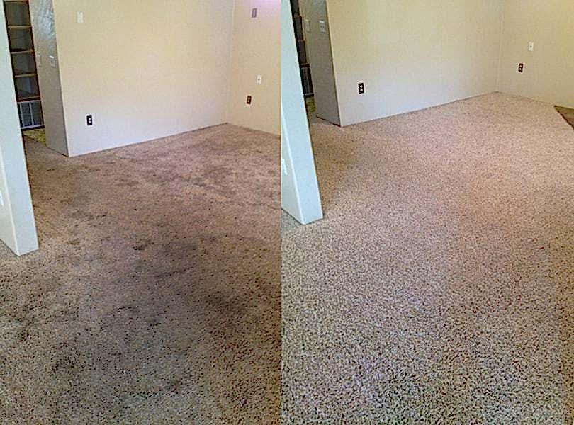 Химчистка ковролина в офисе