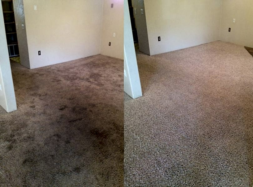 Химчистка ковролина в офисе Химчистка ковролина в офисе