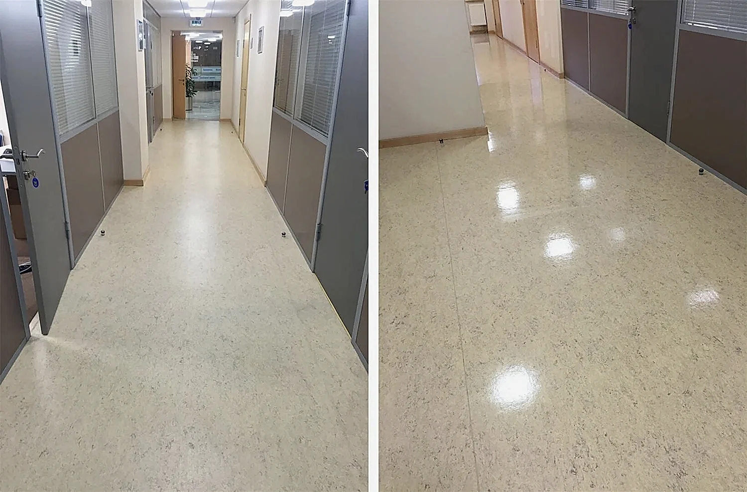 Дезинфицирующая уборка офисного помещения Дезинфицирующая уборка офисного помещения