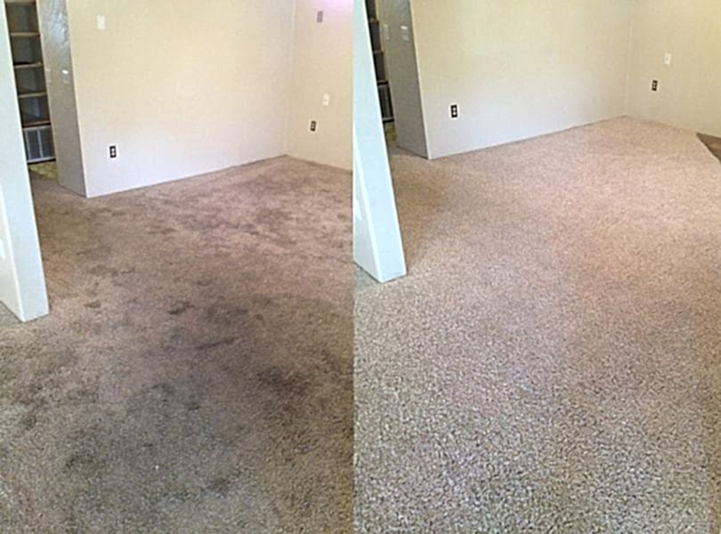 Химчистка ковролина в офисе Химчистка ковролина в офисе