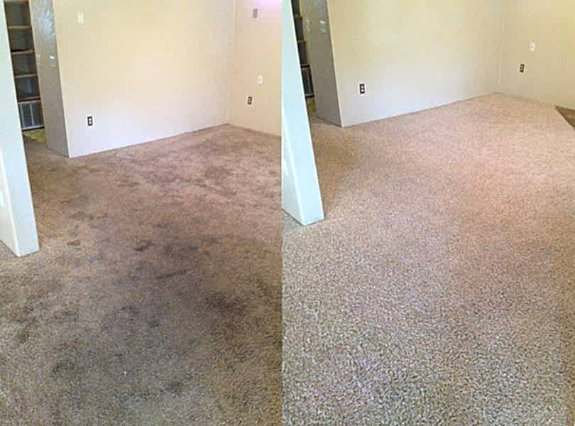 Химчистка ковролина в офисе