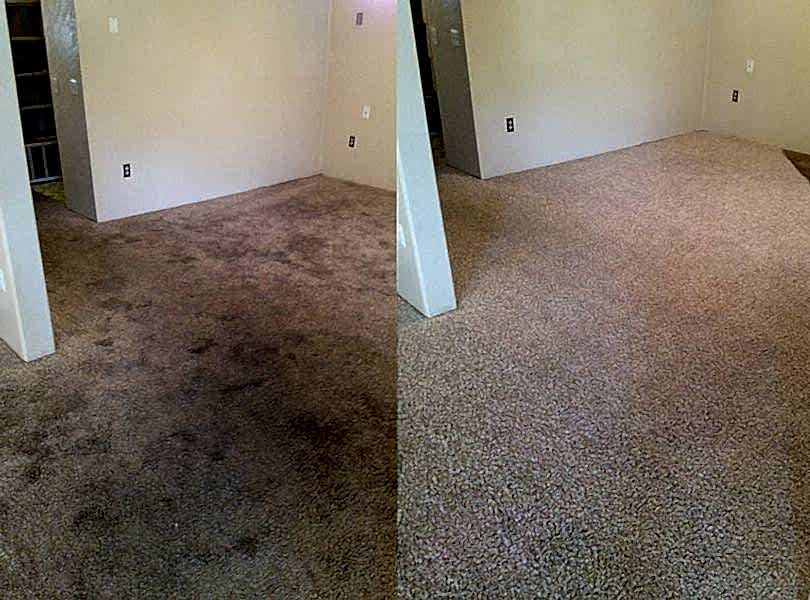 Химчистка ковролина в офисе