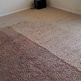 Чистка коврового покрытия в офисе Чистка коврового покрытия в офисе