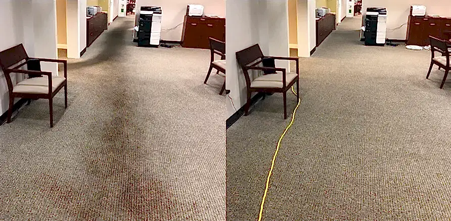 Чистка коврового покрытия в офисе