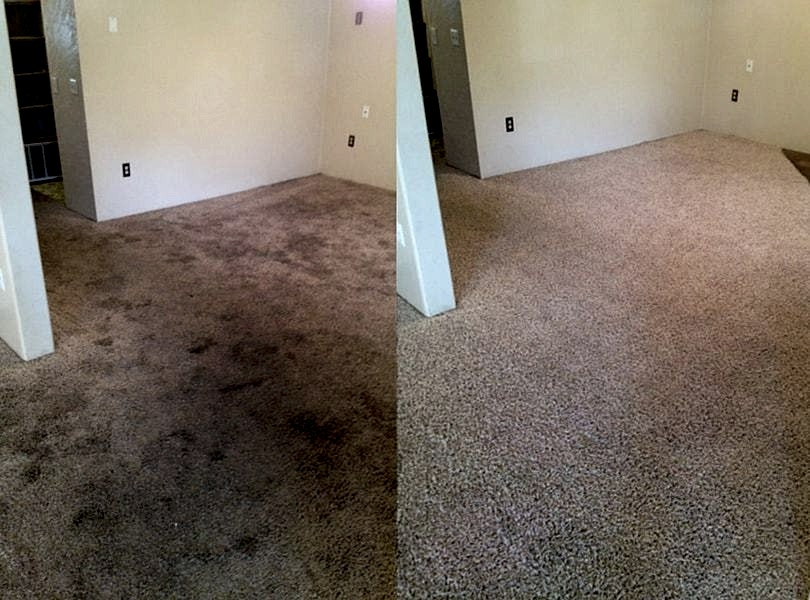 Химчистка ковролина в офисе
