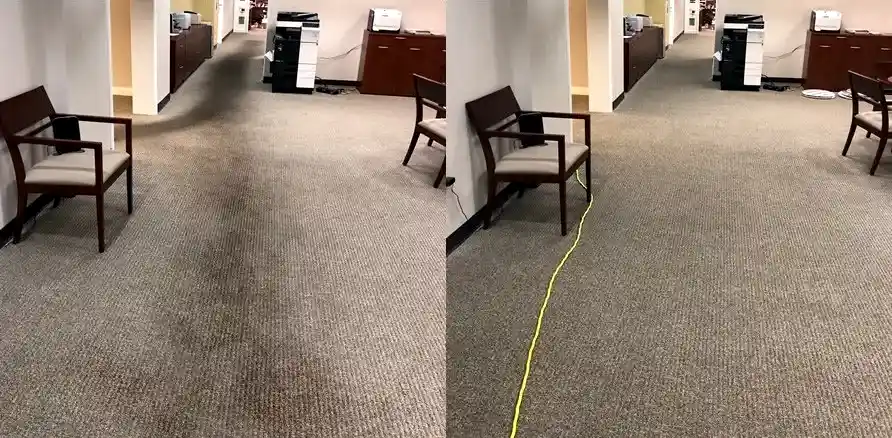 Чистка коврового покрытия в офисе Чистка коврового покрытия в офисе