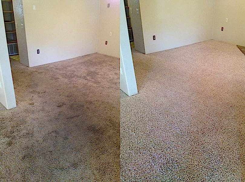 Химчистка ковролина в офисе