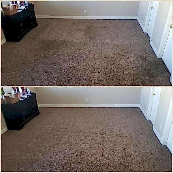 Химчистка ковролина