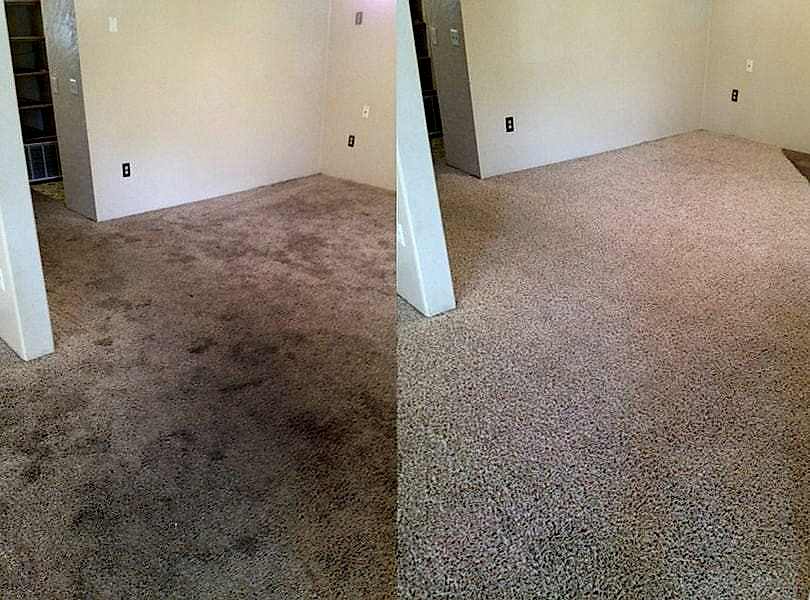 Химчистка ковролина в офисе