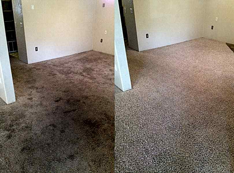 Химчистка ковролина в офисе