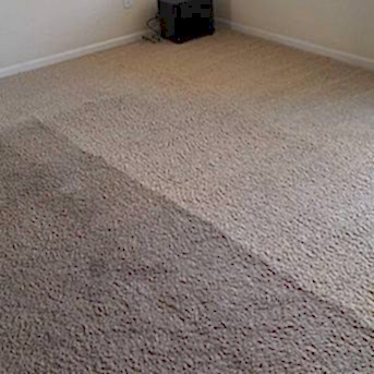 Чистка коврового покрытия в офисе