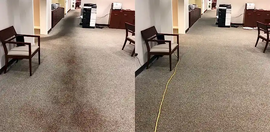 Чистка коврового покрытия в офисе