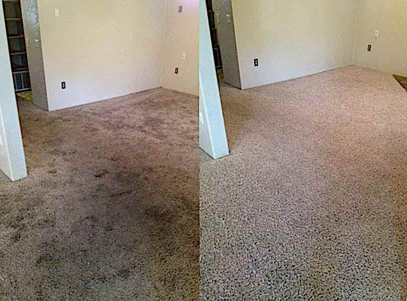 Химчистка ковролина в офисе