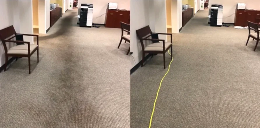 Чистка коврового покрытия в офисе