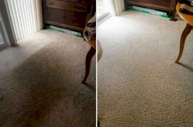Химчистка ковра
