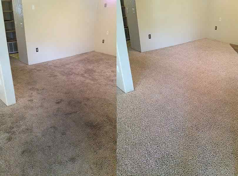 Химчистка ковролина в офисе