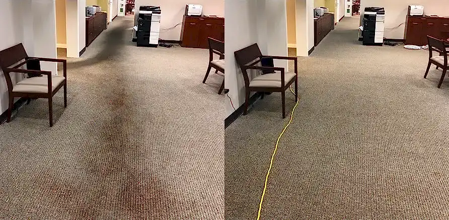 Чистка коврового покрытия в офисе