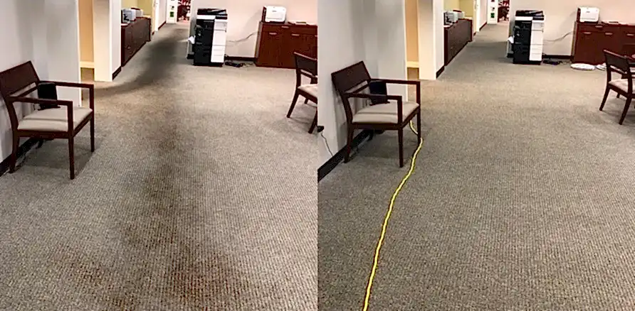 Чистка коврового покрытия в офисе