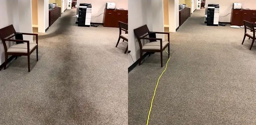Чистка коврового покрытия в офисе