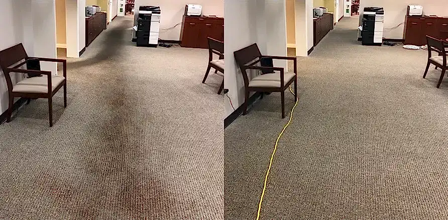Чистка коврового покрытия в офисе