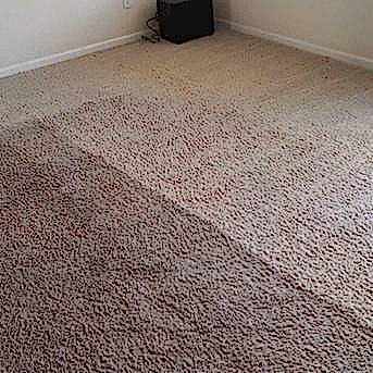 Чистка коврового покрытия в офисе