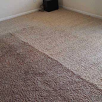 Чистка коврового покрытия в офисе