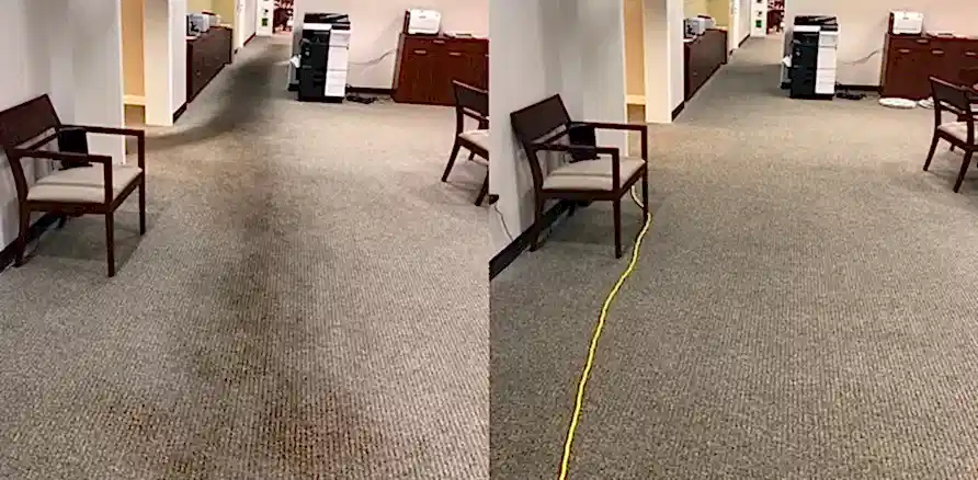Чистка коврового покрытия в офисе