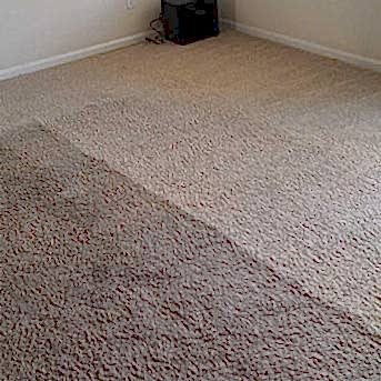 Чистка коврового покрытия в офисе