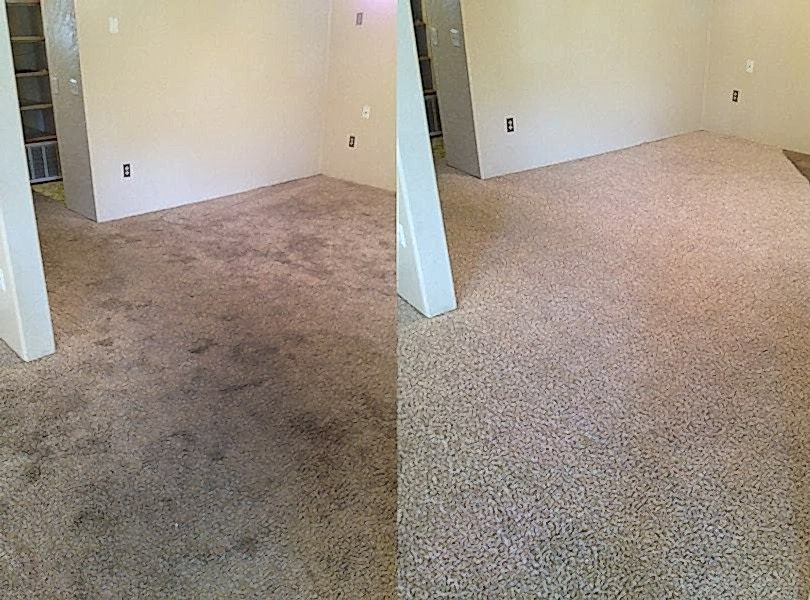 Химчистка ковролина в офисе