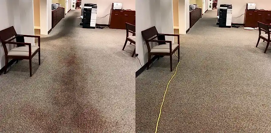Чистка коврового покрытия в офисе Чистка коврового покрытия в офисе
