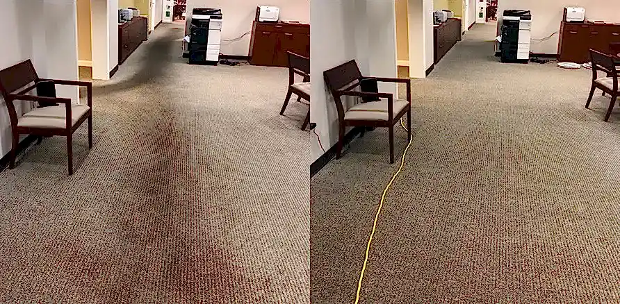Чистка коврового покрытия в офисе