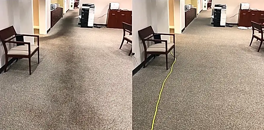 Чистка коврового покрытия в офисе