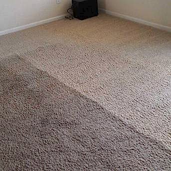 Чистка коврового покрытия в офисе