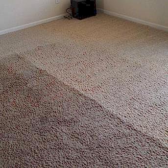 Чистка коврового покрытия в офисе