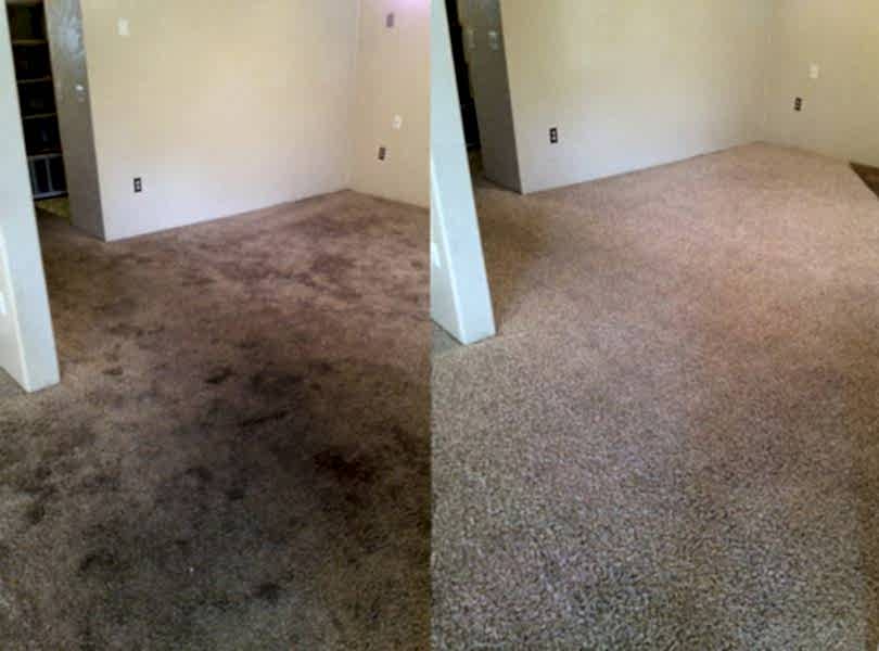 Химчистка ковролина в офисе