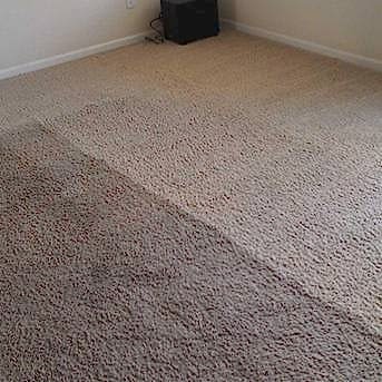 Чистка коврового покрытия в офисе