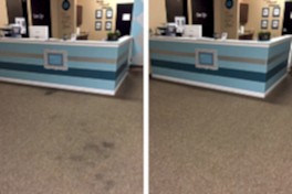 Чистка коврового покрытия в офисе