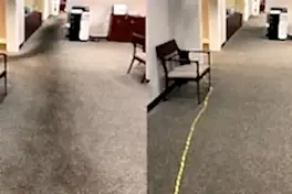 Чистка коврового покрытия в офисе