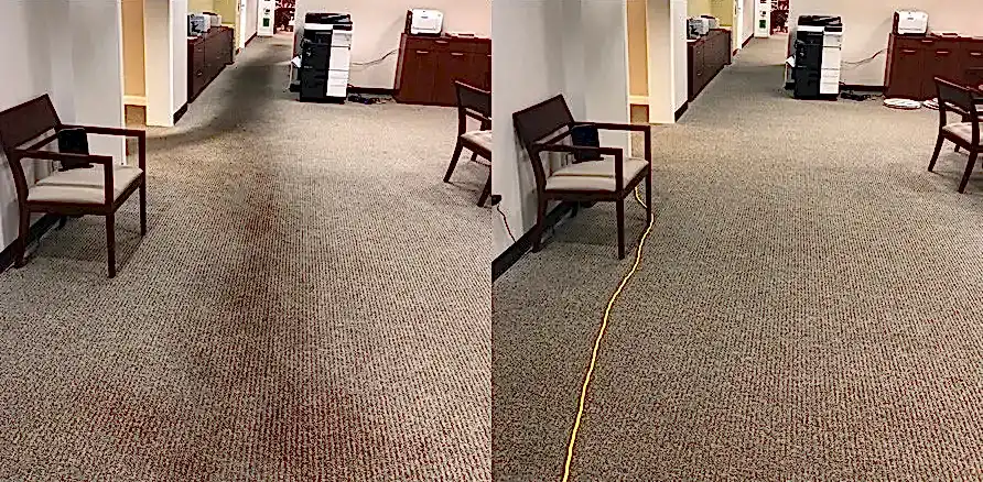 Чистка коврового покрытия в офисе Чистка коврового покрытия в офисе