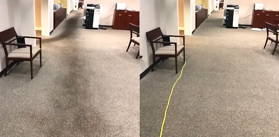Чистка коврового покрытия в офисе