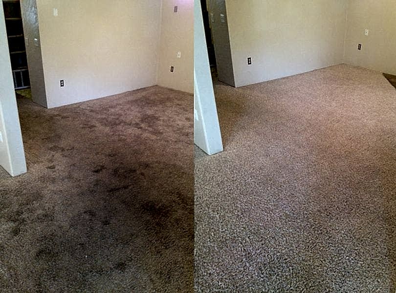 Химчистка ковролина в офисе